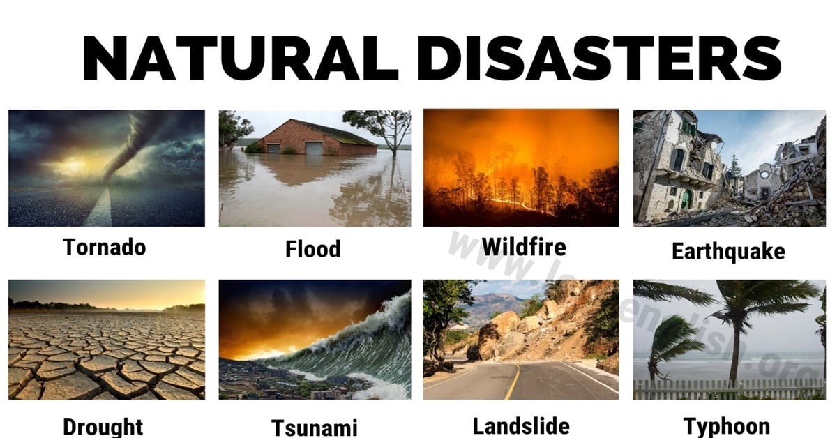 “Disaster That Will Break Your Heart”